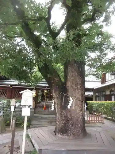 晴明神社(京都府)