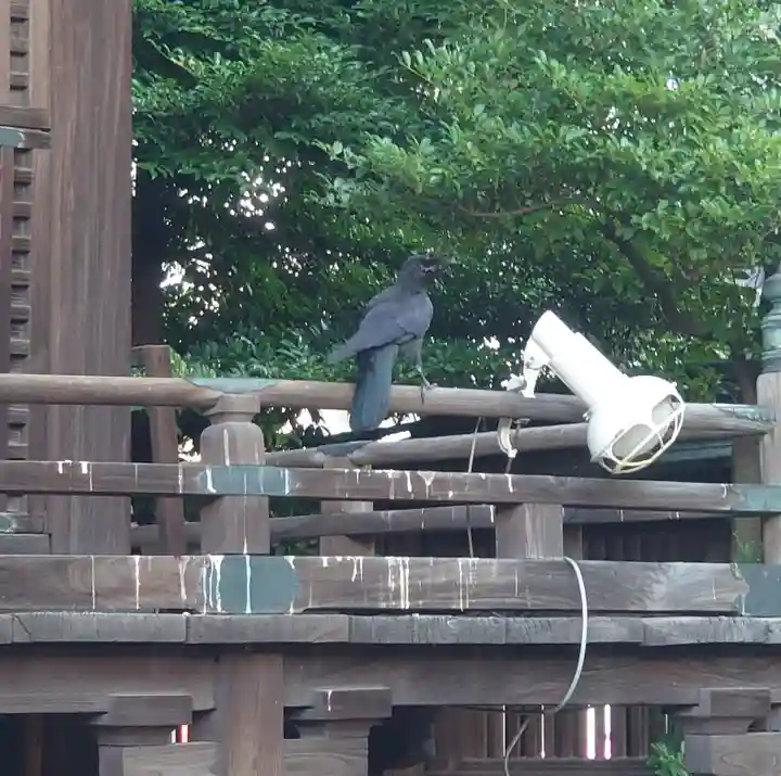 荏原神社(東京都)