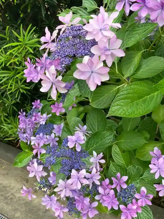 建長寺(神奈川県)