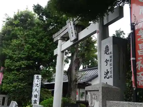 亀ケ池八幡宮の鳥居