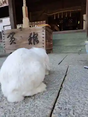大御和神社(徳島県)