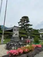 上田大神宮の狛犬