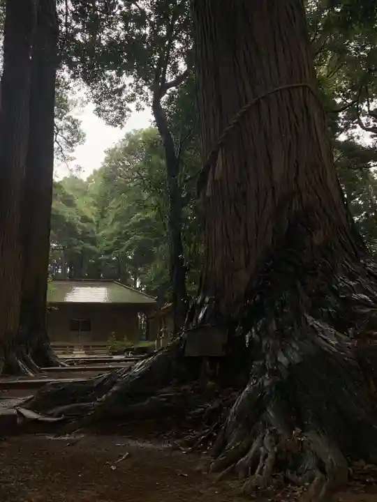 五社大神(千葉県)