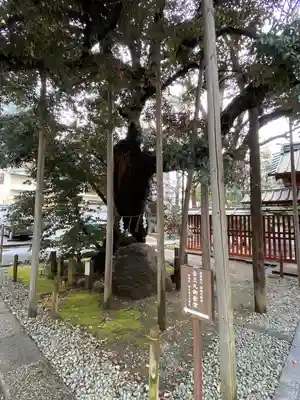 金王八幡宮(東京都)