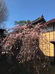 菊田神社の自然