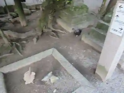 石上神宮のその他建物