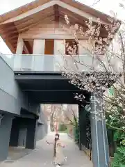 赤城神社の体験その他