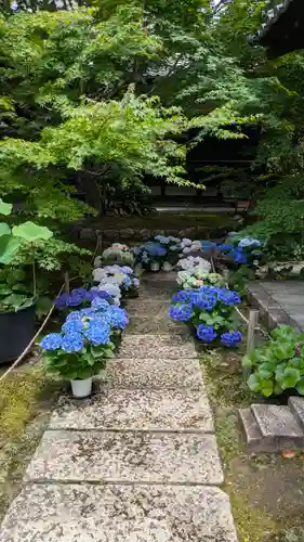 勝林寺(京都府)