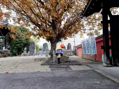 平田寺の手水舎