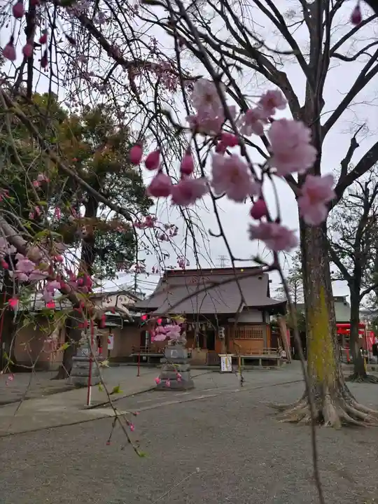 相模原氷川神社(神奈川県)