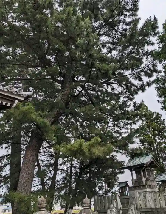 八幡神社 (海津町札野)(岐阜県)