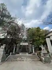 師岡熊野神社(神奈川県)