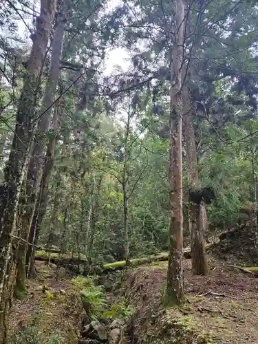 春日大社(奈良県)