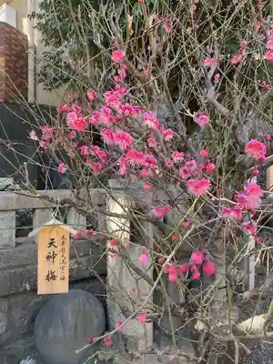 小野照崎神社(東京都)