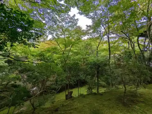 圓光寺(京都府)