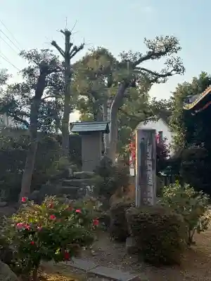 妙行寺の{uncategorized: "未分類", other: "その他", undefined: "問題あり", building: "その他建物", grave: "お墓", sacred_gate: "鳥居", guardian: "狛犬", statue: "像", buddha: "仏像", history: "歴史", nature: "自然", garden: "庭園", animal: "動物", pagoda: "塔", temizu: "手水舎", mountain_gate: "山門・神門", sanctuary: "本殿・本堂", subordinate: "末社・摂社", art: "芸術", scenery: "景色", jizo: "地蔵", ema: "絵馬", goshuin: "御朱印", omikuji: "おみくじ", items: "授与品その他", amulet: "お守り", goshuincho: "御朱印帳", eats: "食事", festival: "お祭り", votive_dance: "神楽", shichigosan: "七五三参", wedding: "結婚式", experience: "体験その他", initially: "初詣", around: "周辺", anti_infection: "感染症対策"}