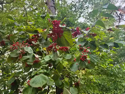 円蔵寺(福島県)