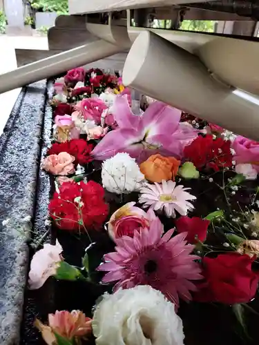 鳩森八幡神社(東京都)