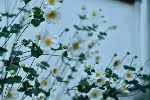 正安寺(神奈川県)