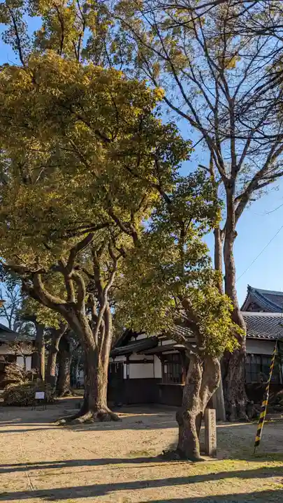 大江神社の自然