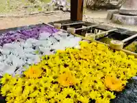 土津神社|こどもと出世の神さまの手水舎