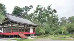 北野天満宮の庭園