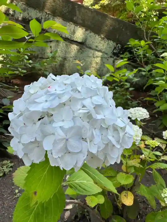 円覚寺(神奈川県)