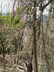 河上神社の周辺