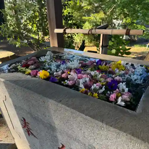 糀谷八幡宮の{uncategorized: "未分類", other: "その他", undefined: "問題あり", building: "その他建物", grave: "お墓", sacred_gate: "鳥居", guardian: "狛犬", statue: "像", buddha: "仏像", history: "歴史", nature: "自然", garden: "庭園", animal: "動物", pagoda: "塔", temizu: "手水舎", mountain_gate: "山門・神門", sanctuary: "本殿・本堂", subordinate: "末社・摂社", art: "芸術", scenery: "景色", jizo: "地蔵", ema: "絵馬", goshuin: "御朱印", omikuji: "おみくじ", items: "授与品その他", amulet: "お守り", goshuincho: "御朱印帳", eats: "食事", festival: "お祭り", votive_dance: "神楽", shichigosan: "七五三参", wedding: "結婚式", experience: "体験その他", initially: "初詣", around: "周辺", anti_infection: "感染症対策"}