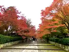 真正極楽寺（真如堂）の建物その他