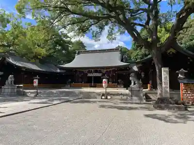 兵庫縣姫路護國神社(兵庫県)