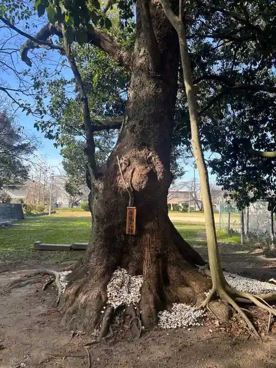 倭文神社(奈良県)