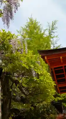 春日大社(奈良県)