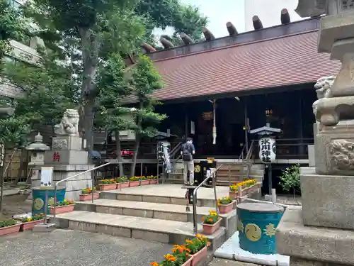 高円寺氷川神社の本殿・本堂