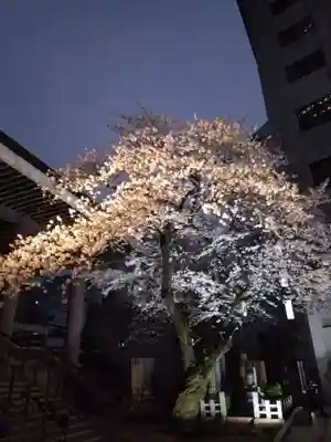 常圓寺(東京都)