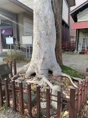 日野八坂神社(東京都)