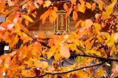 札幌祖霊神社の自然