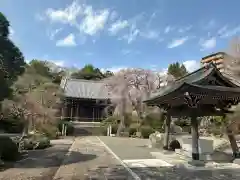 青柳寺(神奈川県)