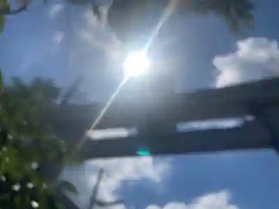 葛木御歳神社(奈良県)