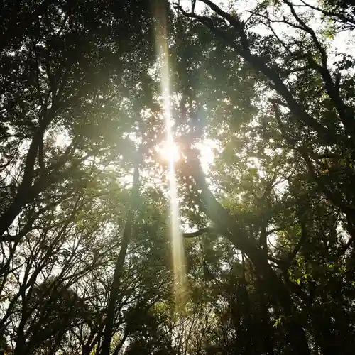 稲荷神社の自然