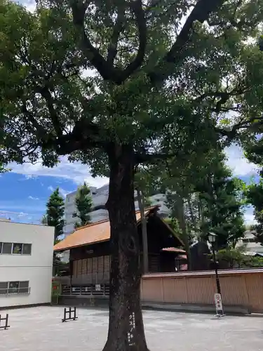 お三の宮日枝神社の自然