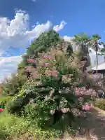 延命寺(埼玉県)