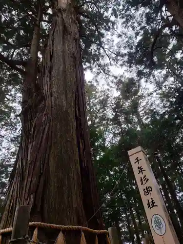 鷲子山上神社(栃木県)