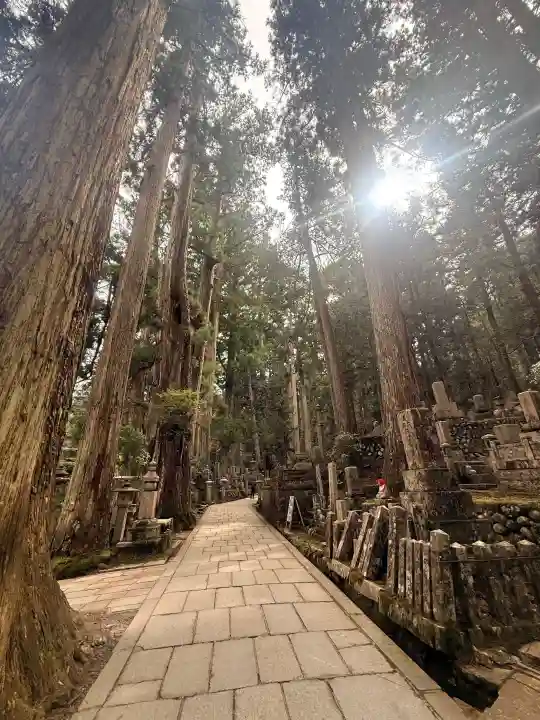 高野山金剛峯寺奥の院の{uncategorized: "未分類", other: "その他", undefined: "問題あり", building: "その他建物", grave: "お墓", sacred_gate: "鳥居", guardian: "狛犬", statue: "像", buddha: "仏像", history: "歴史", nature: "自然", garden: "庭園", animal: "動物", pagoda: "塔", temizu: "手水舎", mountain_gate: "山門・神門", sanctuary: "本殿・本堂", subordinate: "末社・摂社", art: "芸術", scenery: "景色", jizo: "地蔵", ema: "絵馬", goshuin: "御朱印", omikuji: "おみくじ", items: "授与品その他", amulet: "お守り", goshuincho: "御朱印帳", eats: "食事", festival: "お祭り", votive_dance: "神楽", shichigosan: "七五三参", wedding: "結婚式", experience: "体験その他", initially: "初詣", around: "周辺", anti_infection: "感染症対策"}