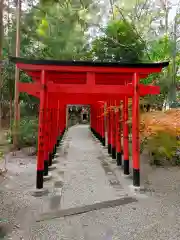 鴨都波神社(奈良県)