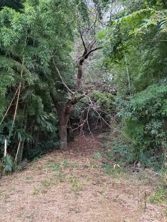 権現神社(千葉県)