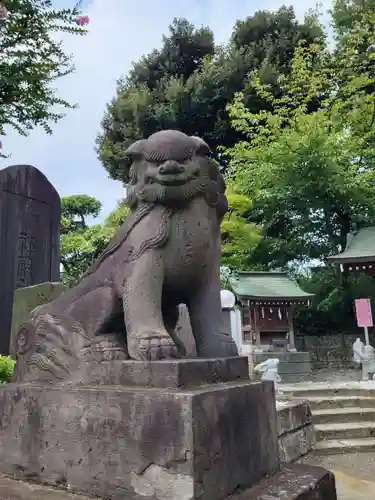 赤羽八幡神社の狛犬