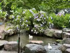 楽法寺（雨引観音）の動物