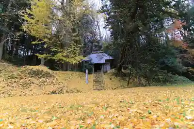 乙宿禰神社の自然