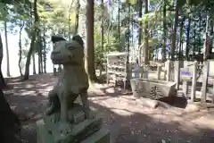 宝登山神社奥宮の狛犬